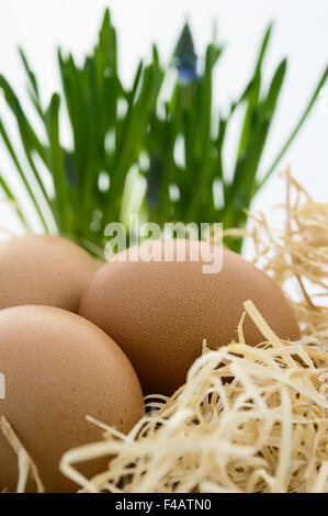 Ostern Stockfoto