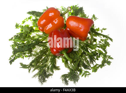 Saftige bulgarische Paprika und grünen Fenchel Stockfoto