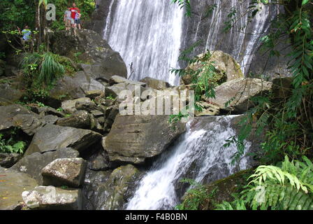 El Yunque Regenwald Stockfoto