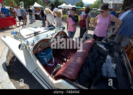 La Jacquemarde 2015 in Taninges (Frankreich) Stockfoto