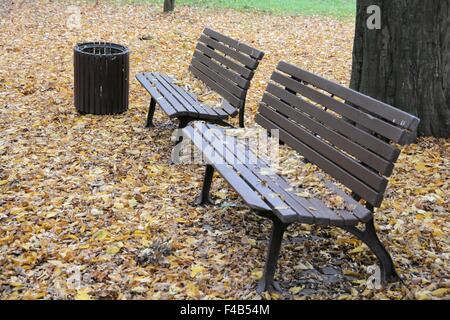 Bänke in einem Park im Herbst Stockfoto