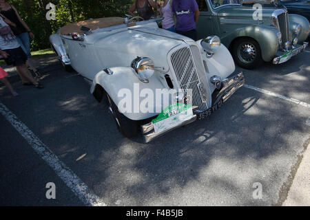 La Jacquemarde 2015 in Taninges (Frankreich) Stockfoto