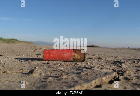 Shotgun Shell bei Alviso Marina County Park, San Jose, Kalifornien verbracht Stockfoto