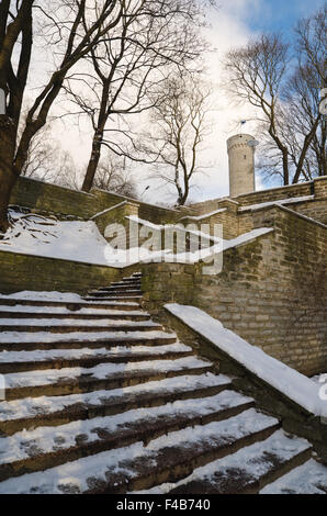 Treppe der Führer auf einer mittelalterlichen Stadtmauer Stockfoto