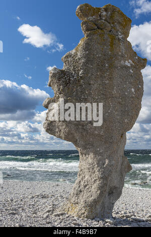 Kalkstein, Gotland, Schweden Stockfoto