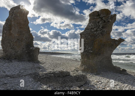 Kalkfelsen, Gotland, Schweden Stockfoto