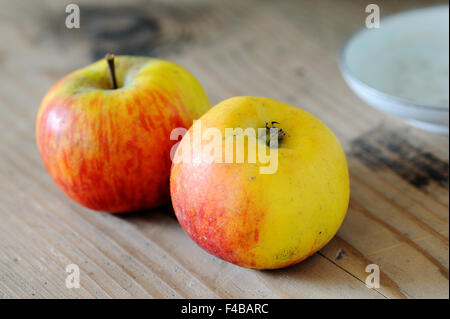 zwei Topaz-Äpfel Stockfoto