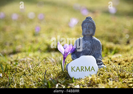 Das Wort "Karma mit Buddha-Statue Stockfoto