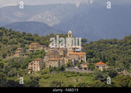 Hügel Dorf Soveria, in der Nähe von Corte, Corsica Stockfoto