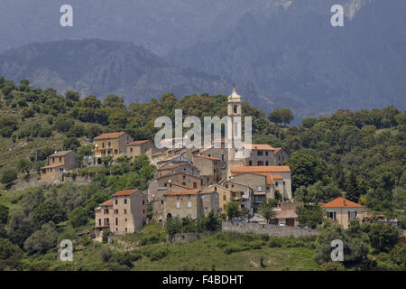 Hügel Dorf Soveria, in der Nähe von Corte, Corsica Stockfoto