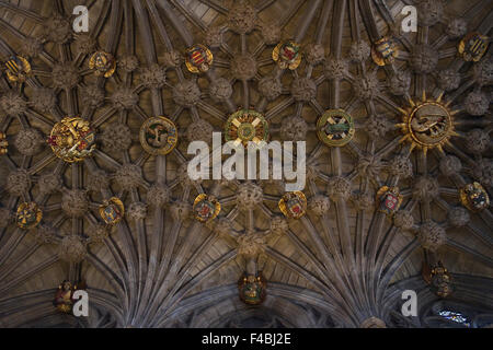 Decke der Distel-Kapelle in der Kathedrale von St Giles, Edinburgh, Schottland. Stockfoto