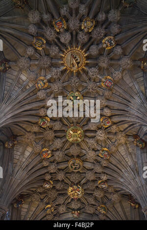 Decke der Distel-Kapelle in der Kathedrale von St Giles, Edinburgh, Schottland. Stockfoto