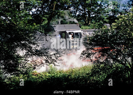 Dampfzug Ruhrtal, Witten, Deutschland Stockfoto