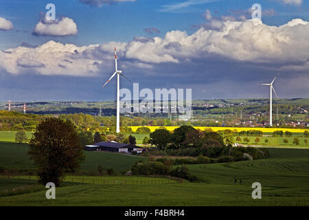 Landschaft in niedrig-Dorf, Witten, Deutschland Stockfoto