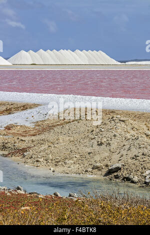 Salzproduktion Bonaire Niederländische Antillen Stockfoto