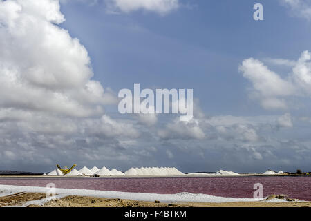 Salzproduktion Bonaire Niederländische Antillen Stockfoto