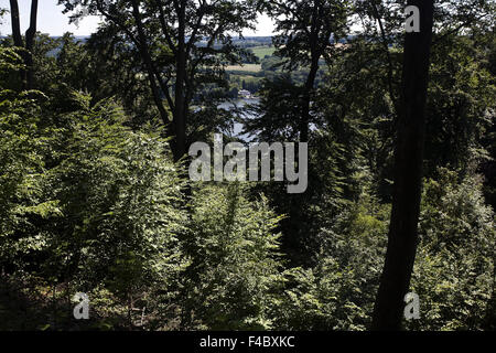 Bäume mit Baldeneysee See, Essen, Deutschland Stockfoto