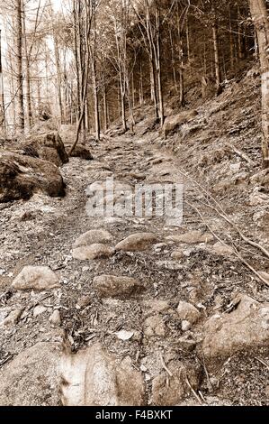 stark befahrene Straße vor langer Zeit Sepia, Stockfoto