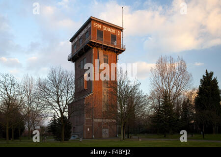 Hammerhai Turm Erin, Teerdestillation, Deutschland Stockfoto