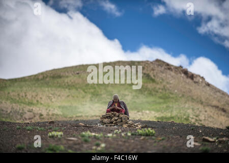 Lama ist beschäftigt mit Mobile im Hochgebirge des Himalaya Stockfoto