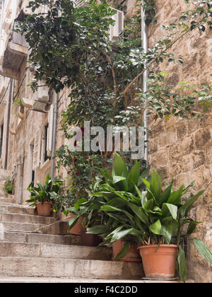 Dubrovnik Kroatien, ist die Altstadt "Stari Grad" voll von Straßen, Gassen und Treppen zum malerischen Unesco Weltkulturerbe Stockfoto