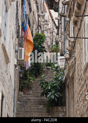 Dubrovnik Kroatien, ist die Altstadt "Stari Grad" voll von Straßen, Gassen und Treppen zum malerischen Unesco Weltkulturerbe Stockfoto