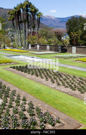 Garten der Villa Taranto Stockfoto