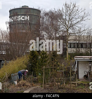 Kleingärten mit Gasometer, Dortmund, Deutschland Stockfoto