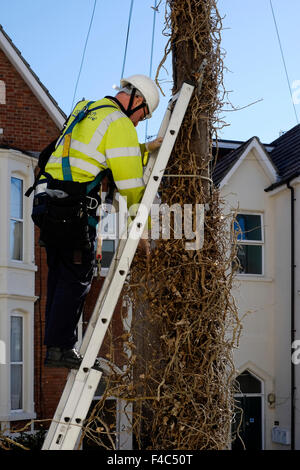 Telekommunikation Ingenieur aus Telegrafenmast uk Stockfoto