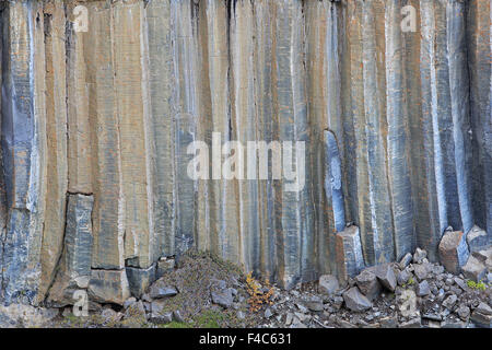 Basaltsäulen in der Nähe von Aldeyjarfoss Wasserfall Island Stockfoto