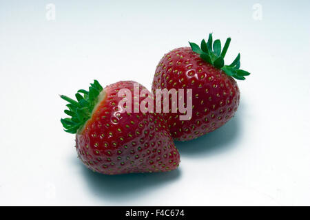 Zwei ganze Erdbeeren isoliert auf einem einfachen weißen cyclorama Stockfoto