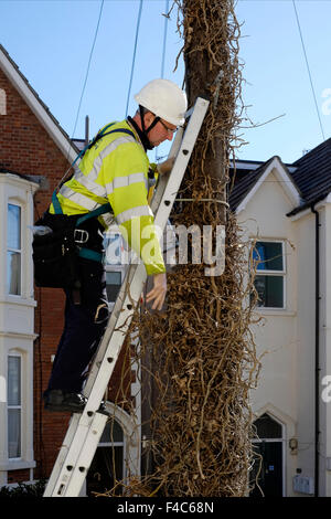 Telekommunikation Ingenieur aus Telegrafenmast uk Stockfoto