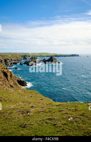 Kornischen Küste mit Blick auf Kynance Cove und Lizard Point aus der South West Coast Path, Cornwall, England, UK Stockfoto