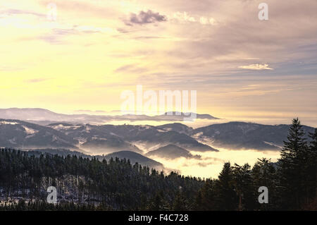 Morgendämmerung über der deutschen schwarzen Wald Stockfoto