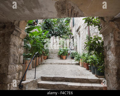 Dubrovnik Kroatien, ist die Altstadt "Stari Grad" voll von Straßen, Gassen und Treppen zum malerischen Unesco Weltkulturerbe Stockfoto
