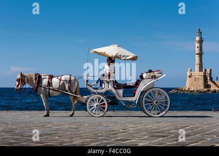 Pferd und Carrage in der Altstadt von Chania, Crete Stockfoto