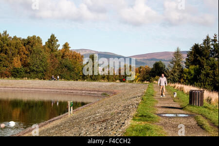 Dundee, Tayside, Scotland, UK, 16. Oktober 2015. UK-Wetter: Sonnig und Warm Herbstmorgen in Dundee. Glorreiche Herbstszenen mit einer Familie für einen Vormittag flanieren Clatto Country Park Teich in Dundee. © Dundee Photographics / Alamy Live News. Stockfoto