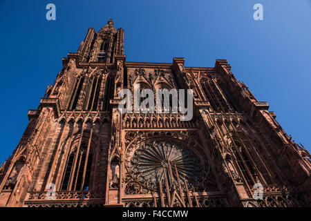 Straßburg Kathedrale, Elsass, Frankreich Stockfoto