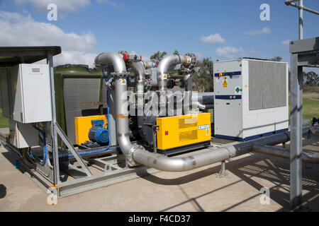 Kombinierte Wärme- und Stromerzeugung Einheit 2,4 MW Biogas Biojoule Anaerobe Verdauung Pflanze Schlucht Farm Energy Park Lake Naivasha, Kenia Stockfoto
