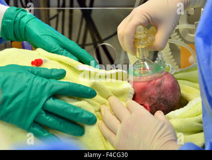 Jena, Deutschland. 16. Oktober 2015. Krankenschwestern sorgen für eines der vier Neugeborene am Klinikum Universitaetsklinikum in Jena, Deutschland, 16. Oktober 2015. Eine Flüchtling Frau aus Albanien hat Vierlinge zur Welt gebracht. In der 32. Woche der Schwangerschaft wurden die drei Mädchen und ein Junge per Kaiserschnitt morgens geliefert. Mutter, Vater und Kinder sind wohlauf. Foto: MARTIN SCHUTT/DPA/Alamy Live-Nachrichten Stockfoto