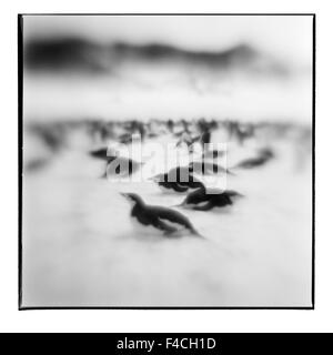 Antarktis, Deception Island, verschwommene schwarz-weiß Bild der Kinnriemen Pinguine ruht auf Schneehang (großformatige Größen erhältlich). Stockfoto