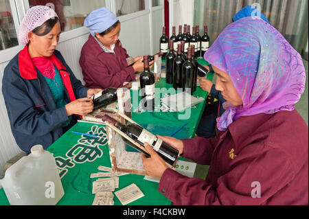 China, Ningxia, Yinchuan. Arbeiter der hand Kleber Etiketten auf Flaschen Helan Qing Xue Kellerei. Stockfoto