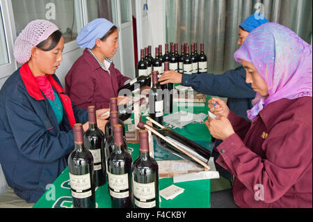 China, Ningxia, Yinchuan. Arbeiter der hand Kleber Etiketten auf Flaschen Helan Qing Xue Kellerei. Stockfoto