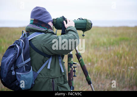 Twitcher mit digiscope in Southport, Merseyside, Großbritannien, Oktober 2015. Vogelbeobachter beobachten mit einem Spektiv, einem Teleskop und einem Fernglas das Tierspektakel, während sich Winterwander und andere Vögel, Gänse und Enten über die Mündungsgewässer auf der Suche nach Steilplätzen bewegen, während das Meerwasser aufsteigt. Die ersten 500 pinkfarbenen Gänse haben die 500 Meilen lange Reise von Island aus unternommen, um den nächsten Monat am Marshside zu verbringen und auf der lokalen Schere zu rosten. In den nächsten Wochen werden die Zahlen stetig steigen, und es wird erwartet, dass 100,000 Gänse aus Island kommen werden. Stockfoto