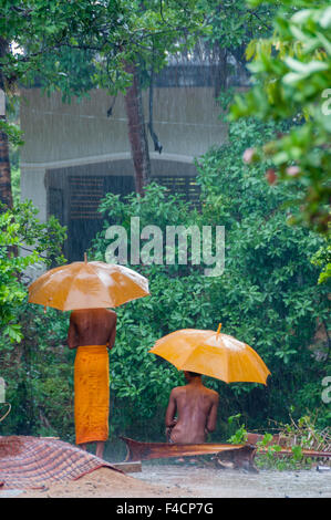 Zwei Orange Mönche mit Schirm im Regen Stockfoto