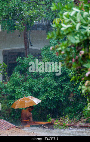 Orange Mönch mit Schirm im Regen Stockfoto