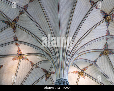 Fan-Tresor im Kapitelsaal in Salisbury Cathedral, mittelalterliche dreizehnten Jahrhundert gotische christlichen Ort der Anbetung Stockfoto