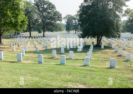 Reihen von kleinen weißen Grabsteinen am Nationalfriedhof Arlington, VA Stockfoto