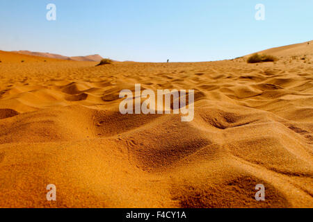 Eidechse-Spuren im sand Stockfoto