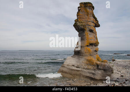 Kanada, Quebec, Havre St. Pierre, Mingan Archipel Nationalpark, Lle Niapiskau (Niapiskau Island). Monolith Kalksteinformationen (aka "Blumentöpfe"). Stockfoto